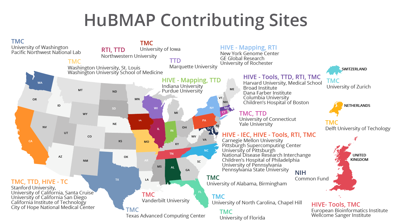 HuBMAPGeographyNorthAmericaEuropeCountries2020NewGroups-01