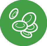 Icon depicting a blood cell