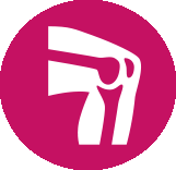 icon depicting a left knee