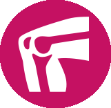icon depicting a right knee