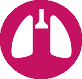 icon depicting a lung