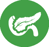 icon depicting a pancreas