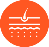 icon depicting skin