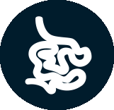icon depicting a small intestine