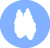 icon depicting the thymus
